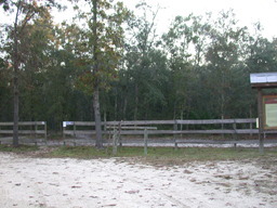 Album: Black Creek Ravines